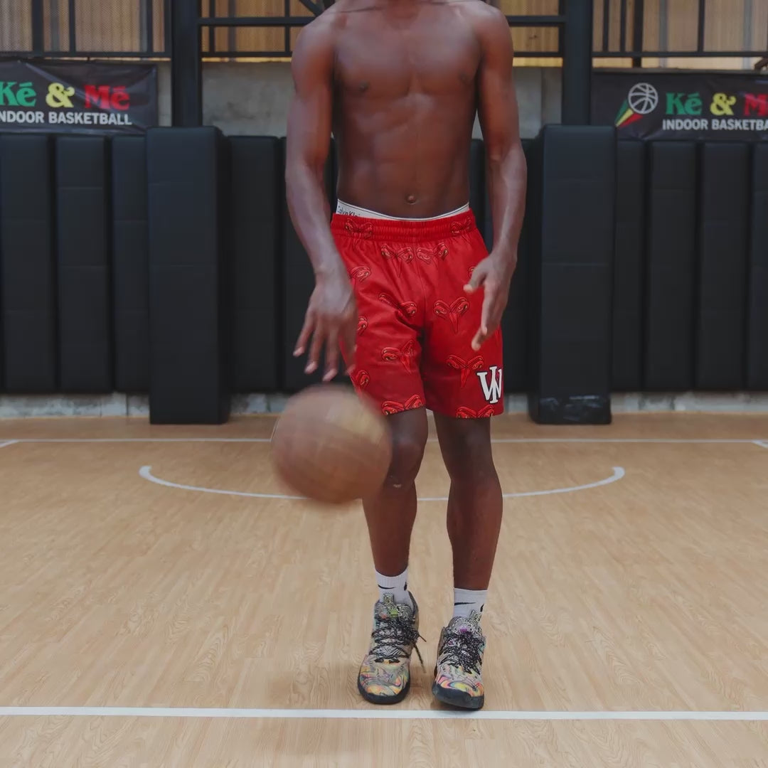 RED & DESERT MAMBA REVERSIBLE SHORTS